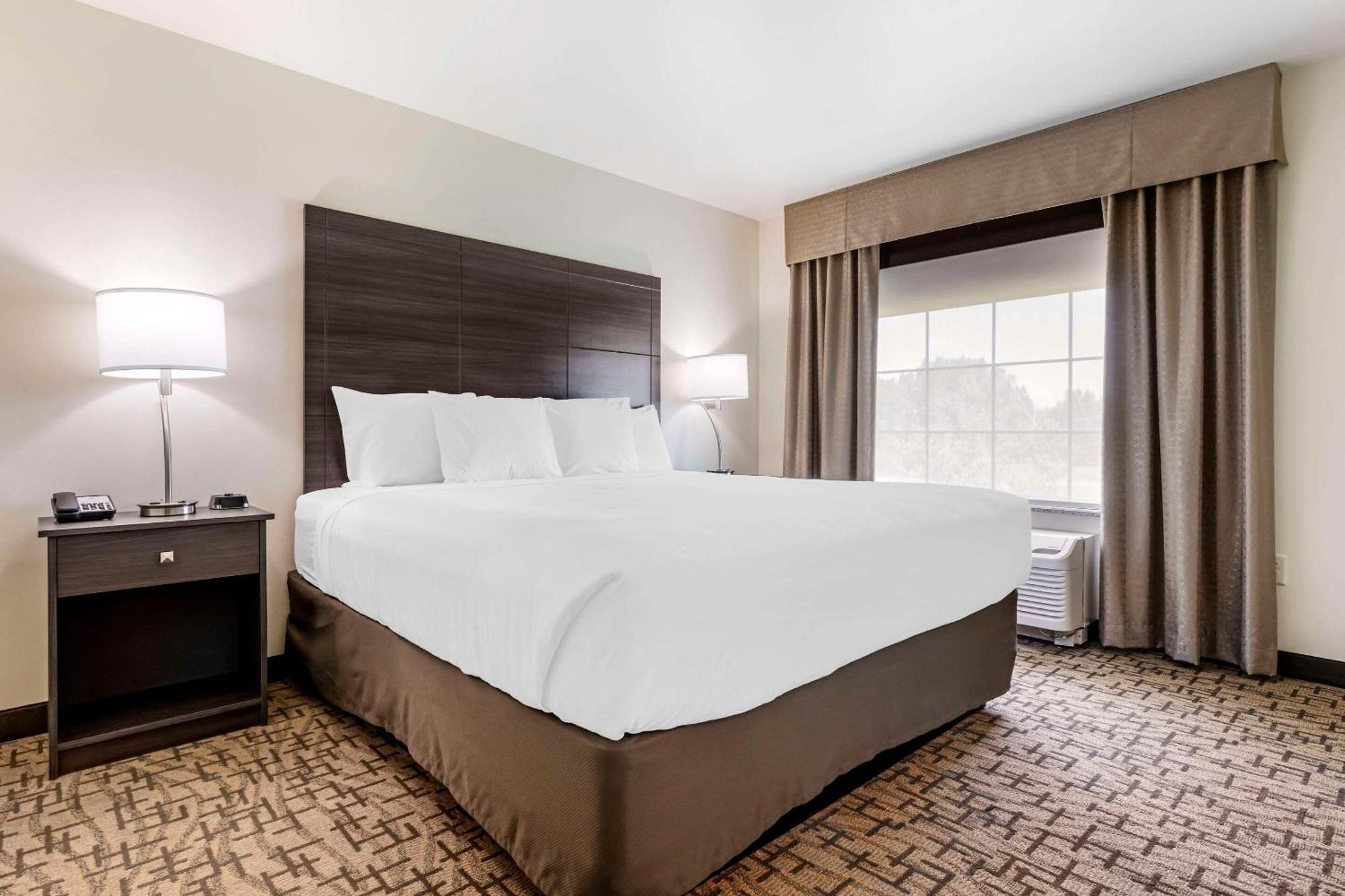 Comfort Inn & Suites Medina Bagian luar foto