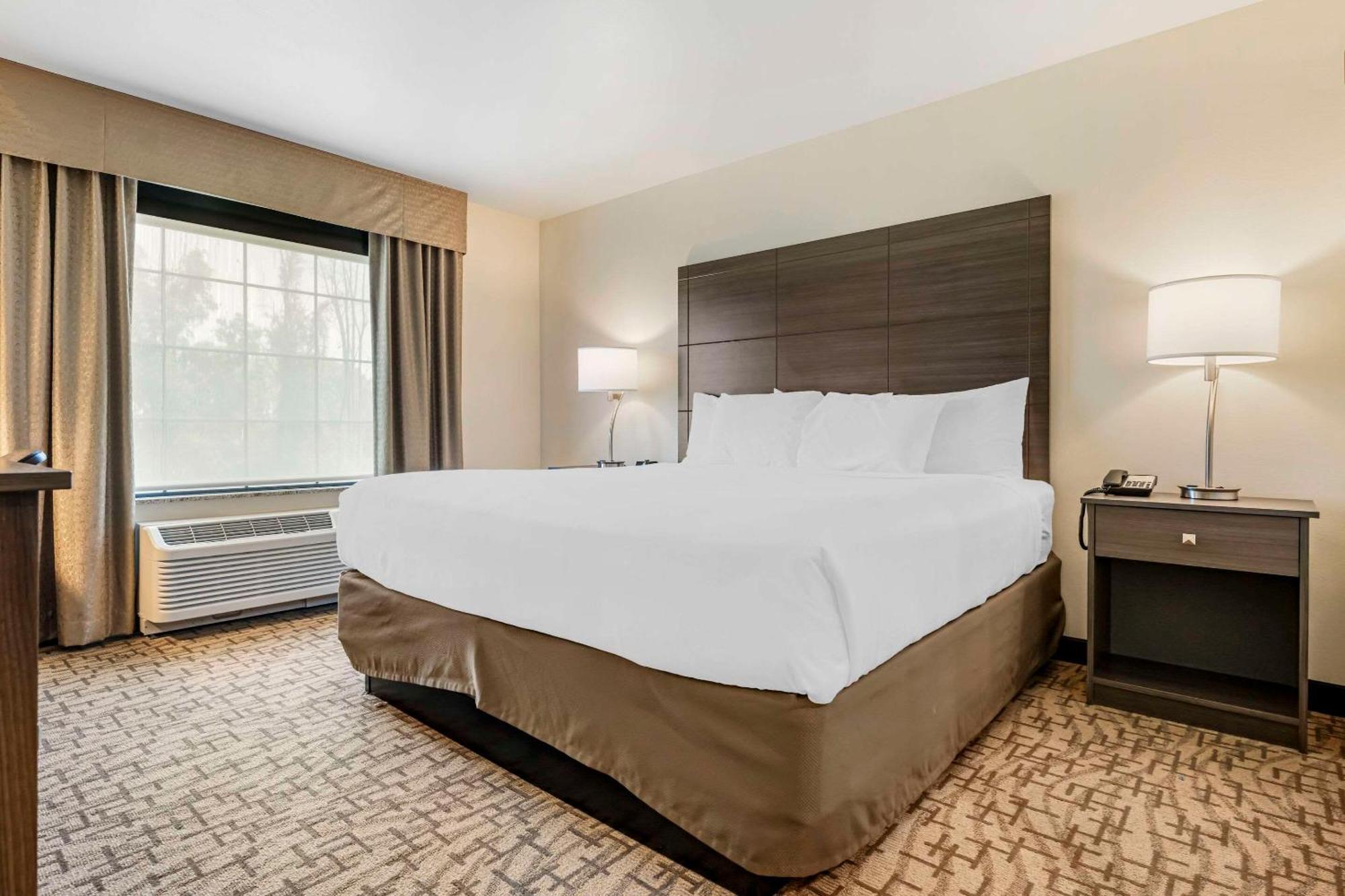 Comfort Inn & Suites Medina Bagian luar foto